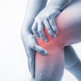 Joint, Pain & Lifestyle Support
