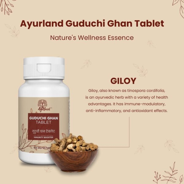 Guduchi Ghan Tablet - Image 2