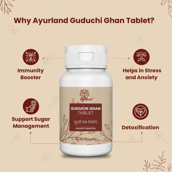 Guduchi Ghan Tablet - Image 4