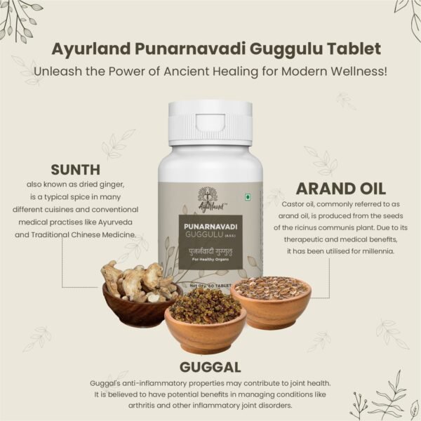 Punarnavadi Guggulu Tablet - Image 2