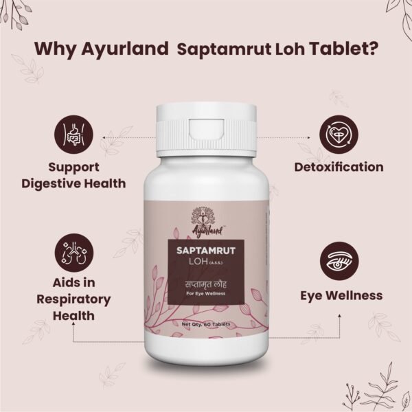 Saptamrut Loh Tablet - Image 4