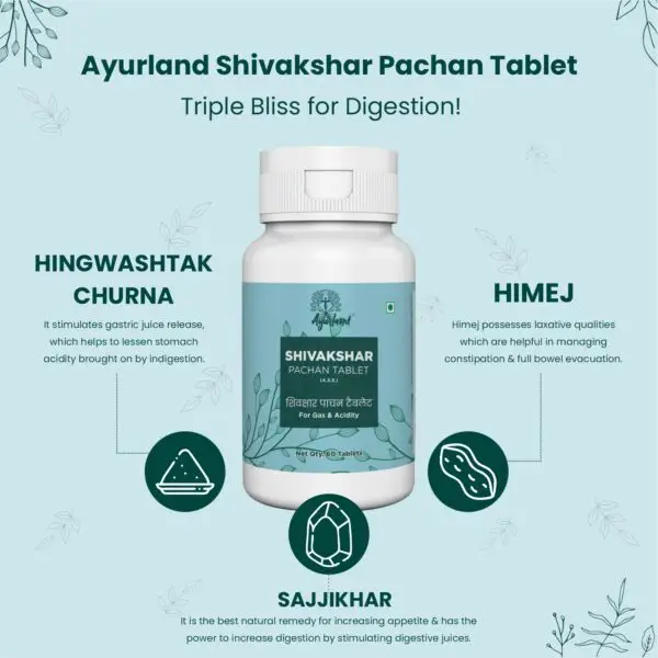 Shivakshar Pachan Tablet - Image 2