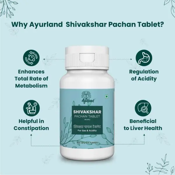 Shivakshar Pachan Tablet - Image 4